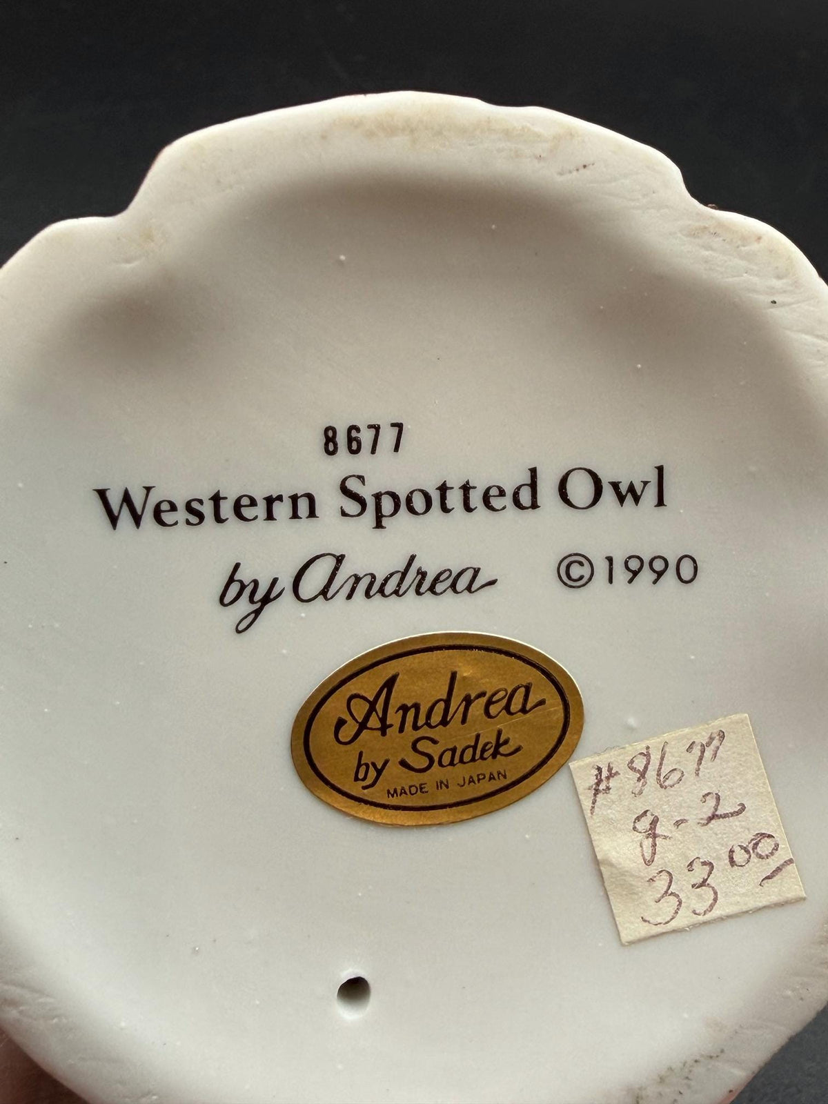 1990 Western Spotted Owl by Andrea