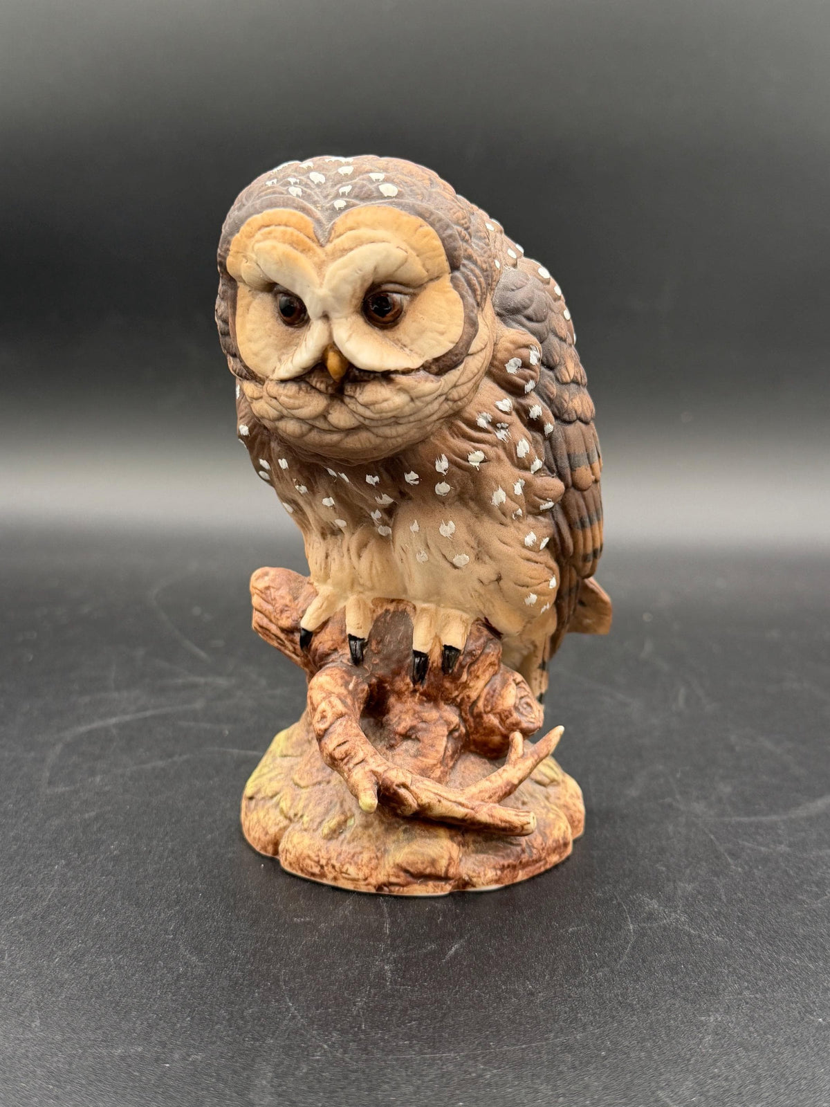 1990 Western Spotted Owl by Andrea