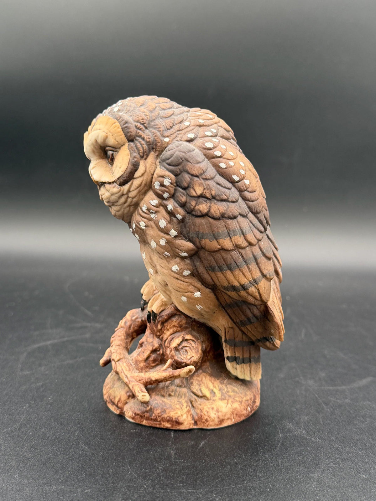 1990 Western Spotted Owl by Andrea
