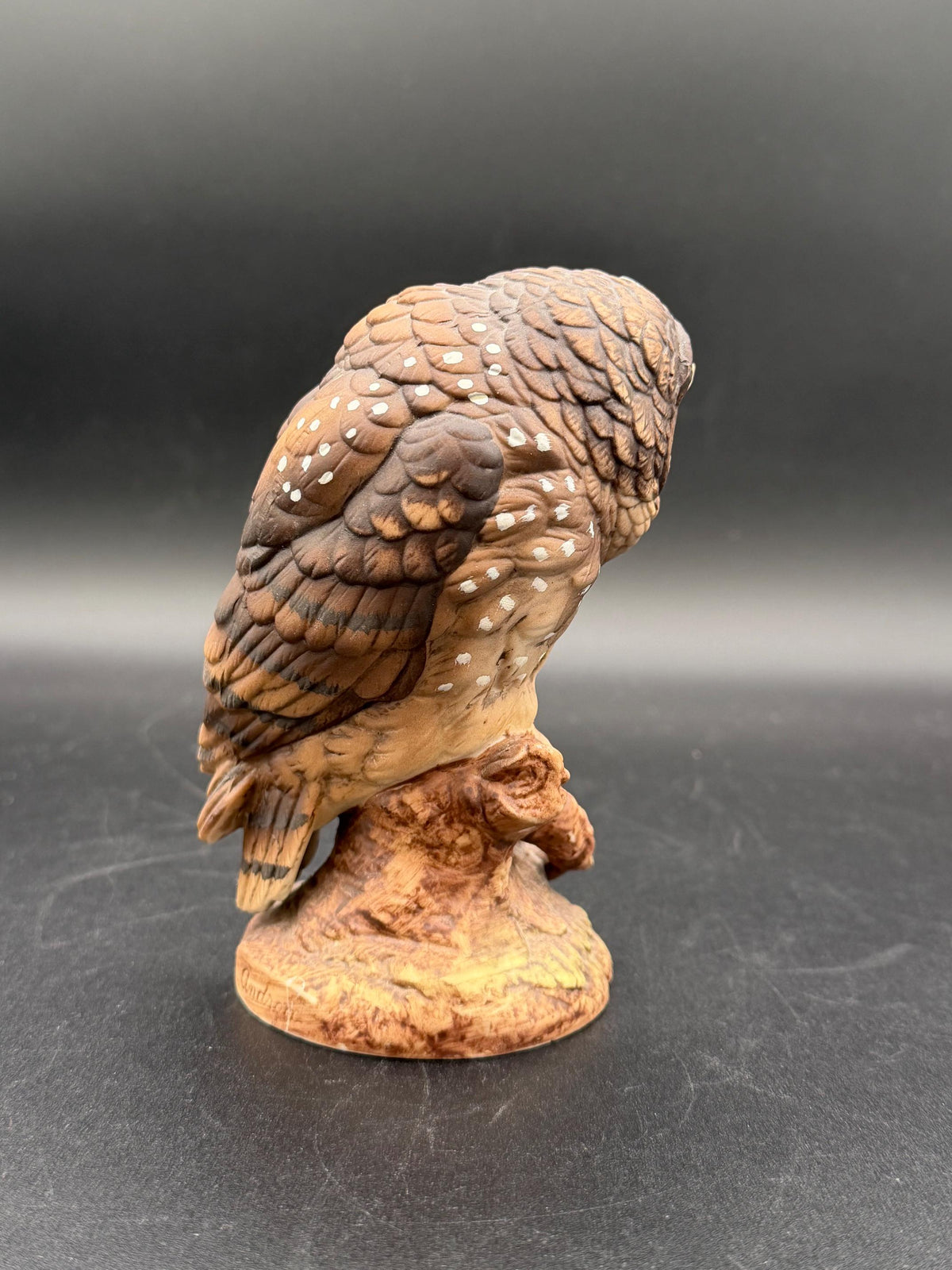 1990 Western Spotted Owl by Andrea