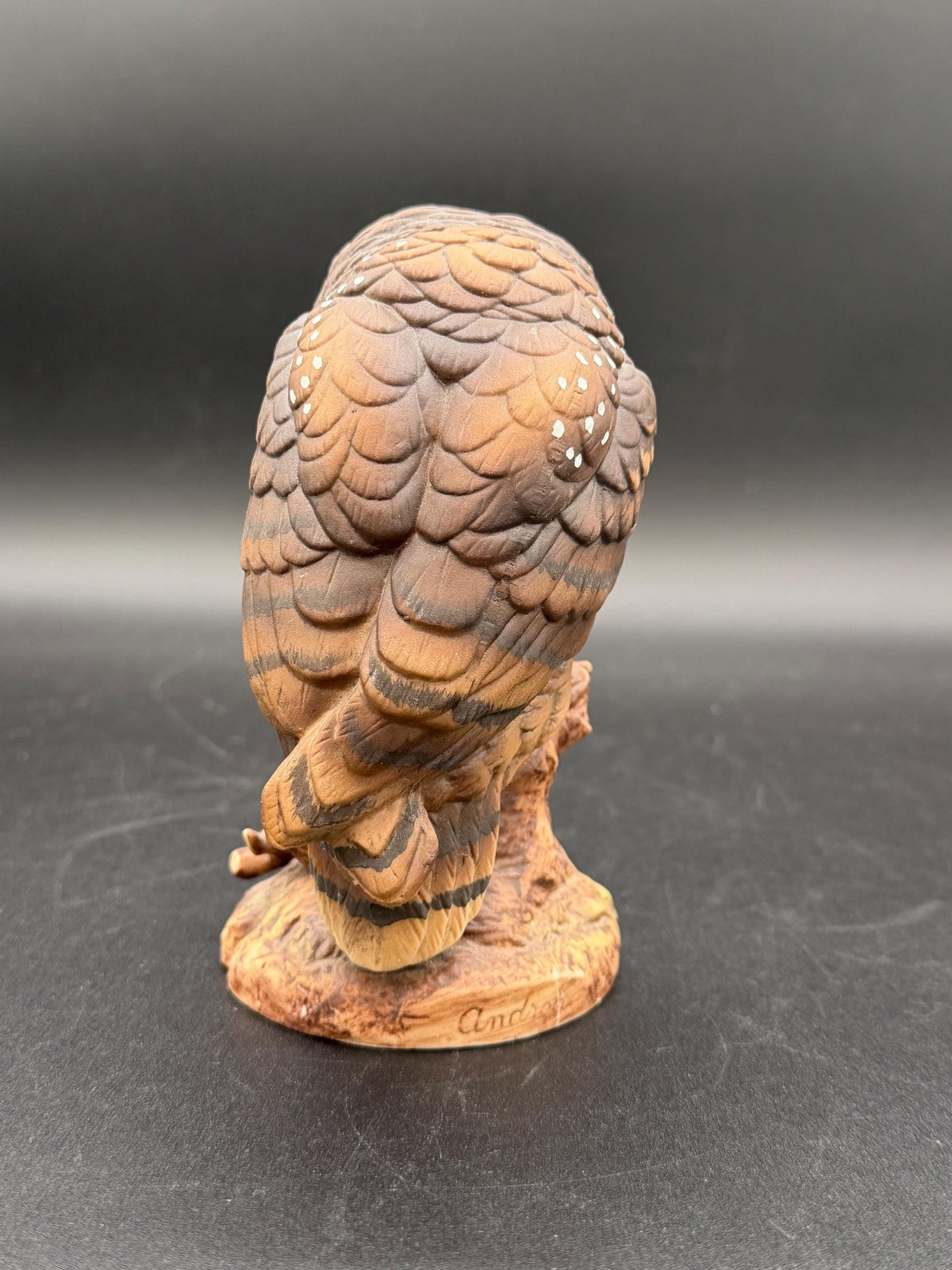 1990 Western Spotted Owl by Andrea
